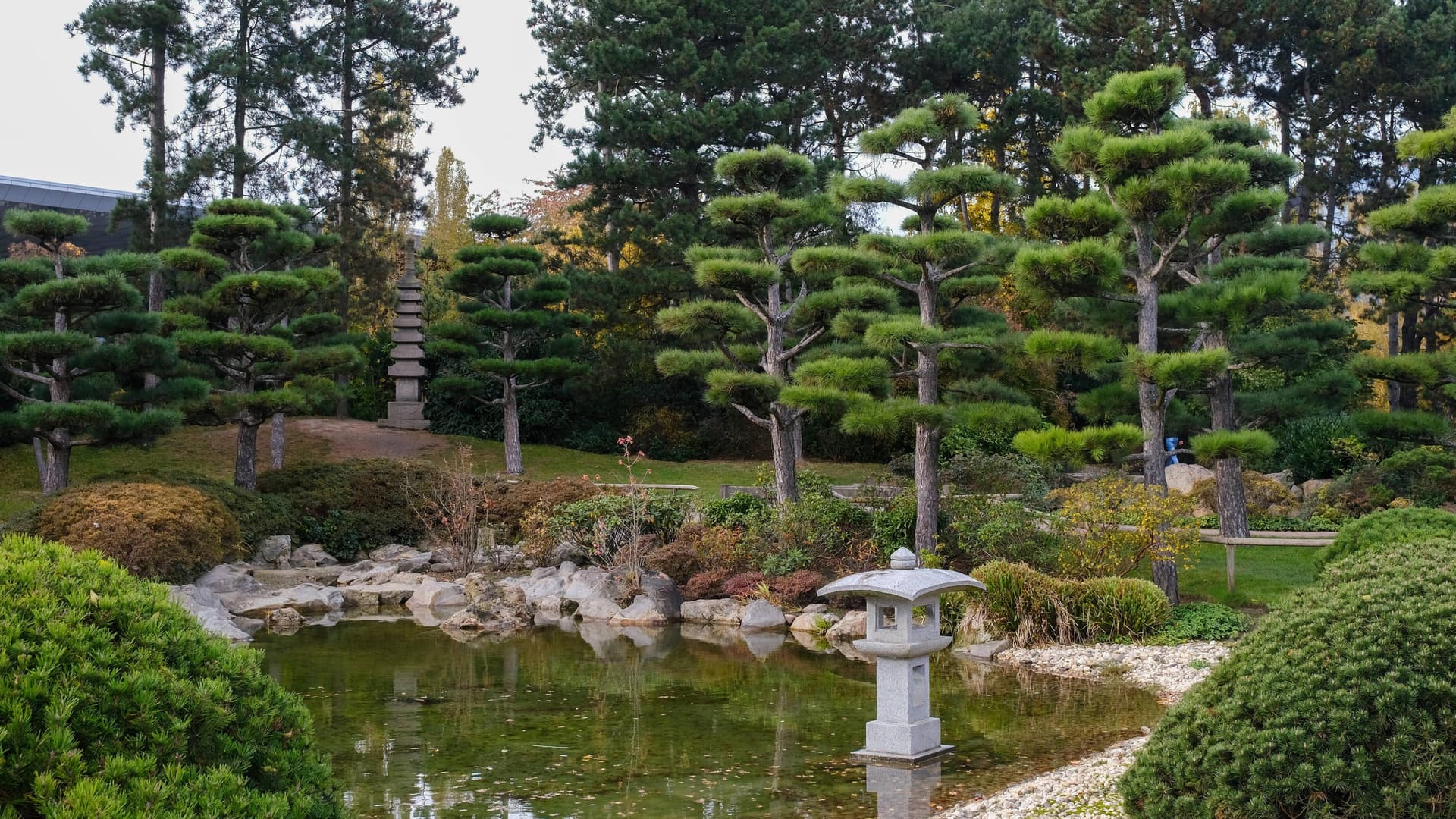 Wie Säulenbäume Ihrem Garten Struktur und Höhe verleihen können