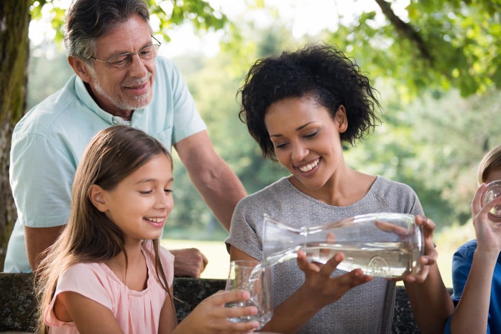 brita vs pur water filter