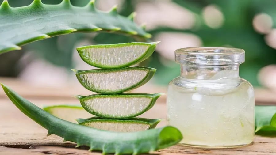 Aloe Propolis Creme: Ein Highlight von Forever Living Products, erklärt vom Distributor