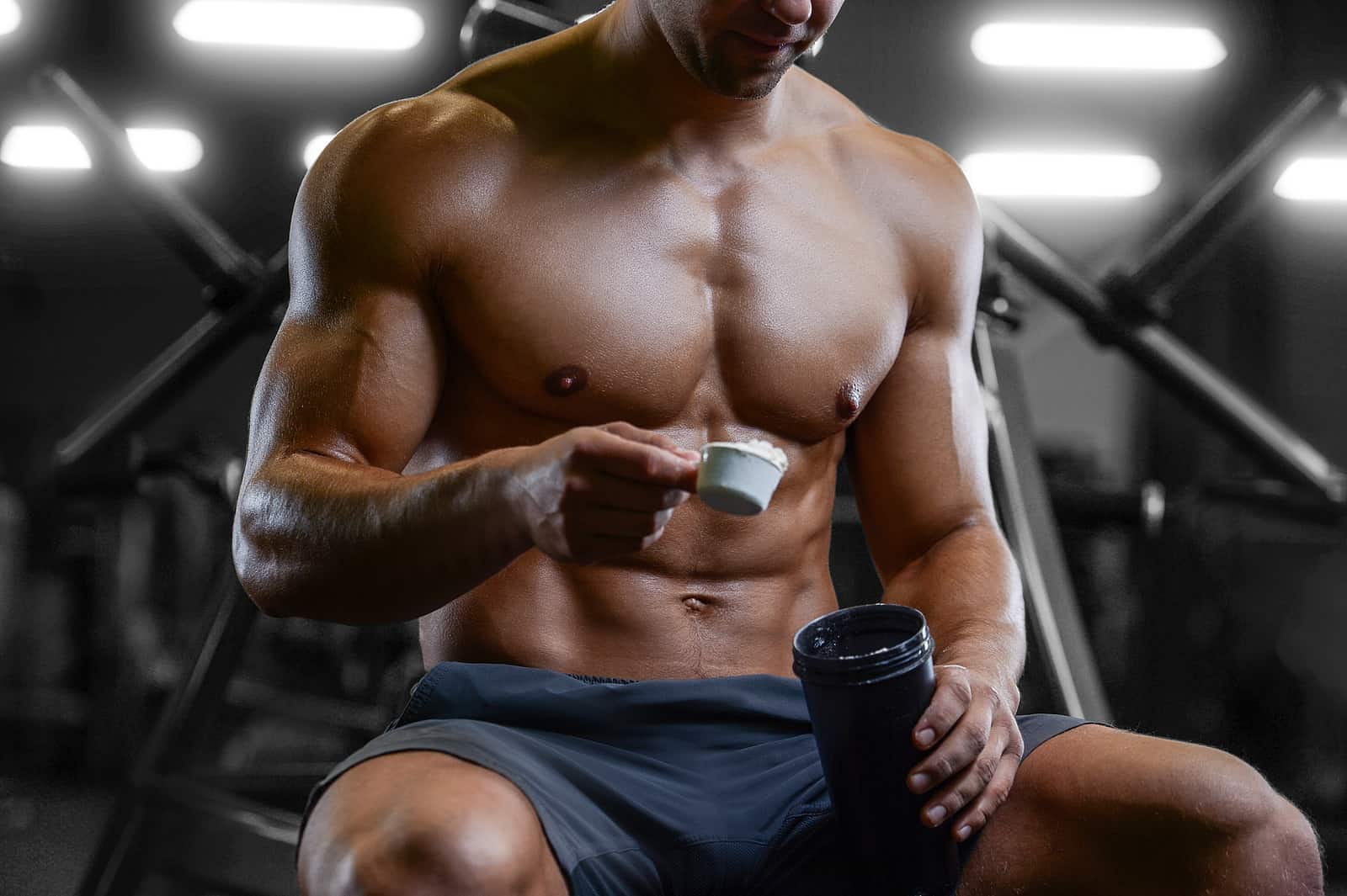 Bulk Phase leicht gemacht – Fitnesshaus24 zeigt wie