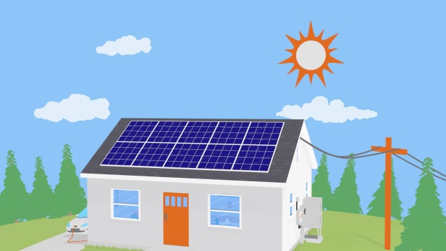 Solar Bernau und Umweltschutz: Ein Gewinn für die Natur